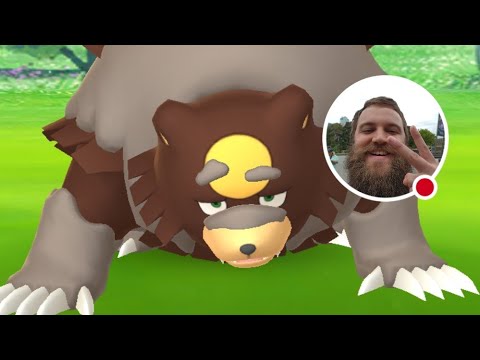 Teddiursa Shiny Hunt Community Day Live Pokemon GO