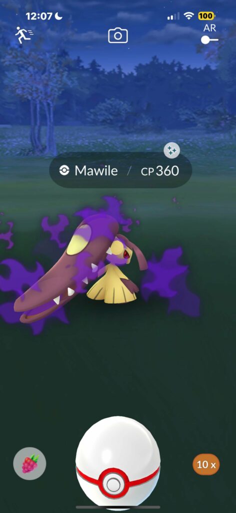 First glimpse of a shadow shiny Mawile