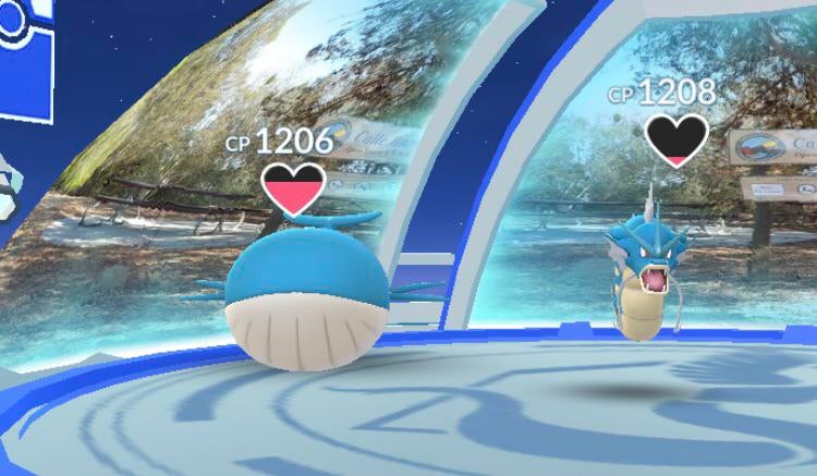 Need to stay at least one wailord away to stop the spread