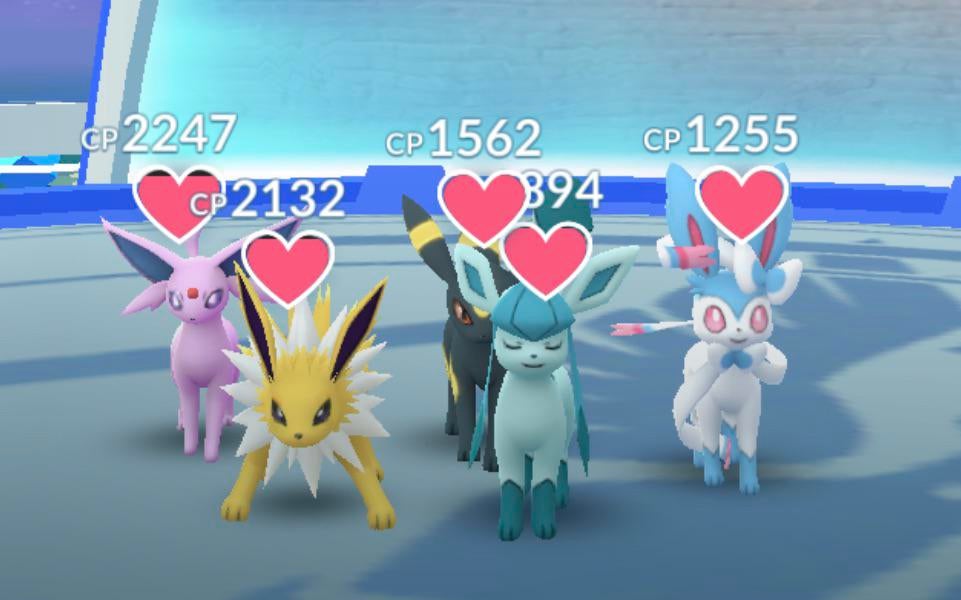 Gotta appreciate people who stick to a gym’s theme.