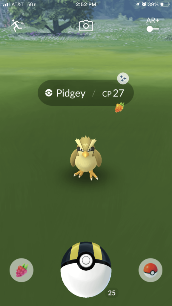 No way was I going to risk it
