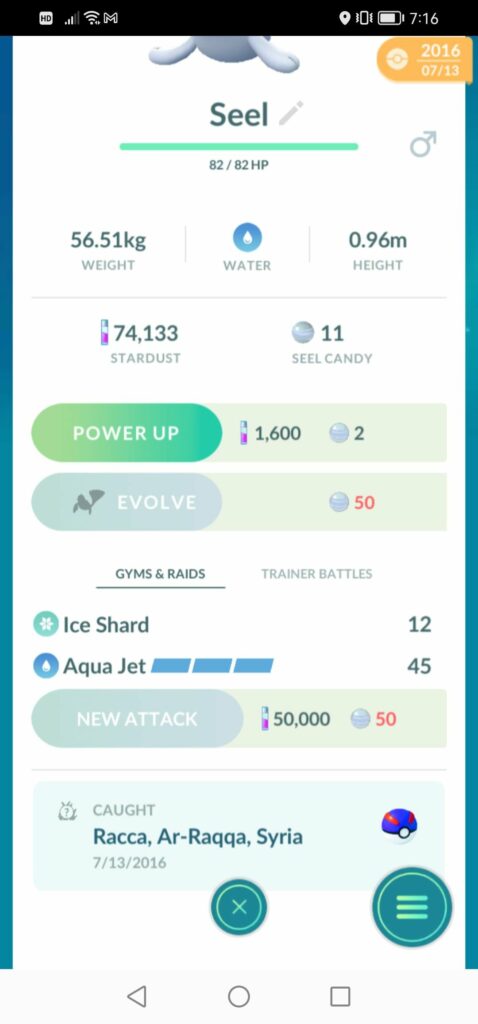 Seel caught in Al Raqqa during the height of ISIS occupation