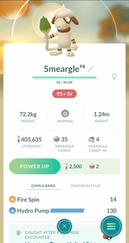 Anyone know which pokemon Smeargle could have possibly gotten this moveset from?