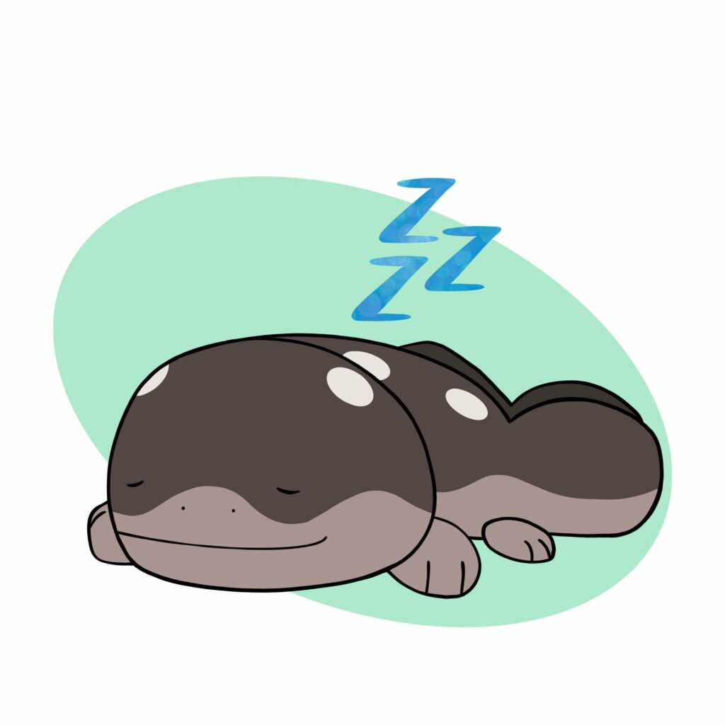 The best Gen 9 Pokémon takes a nap [OC]