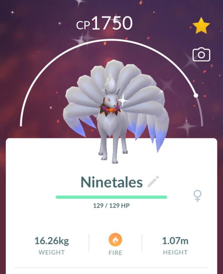What should I name this beauty?