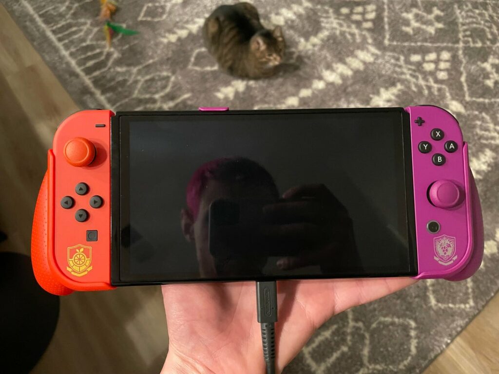 Scarlet & Violet OLED Switch + special S&V Skull & Co. NeoGrip = very nice combo!