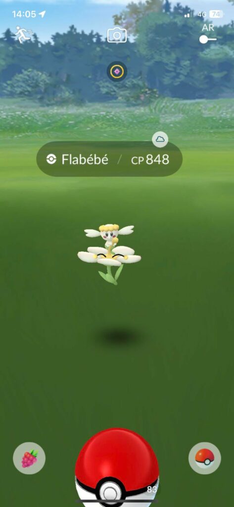 Is white flower flabebe rare? Genuine question as I don’t know