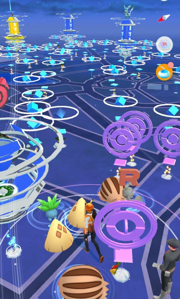 Every trainer’s dream became true at Global Village in Dubai, UAE.