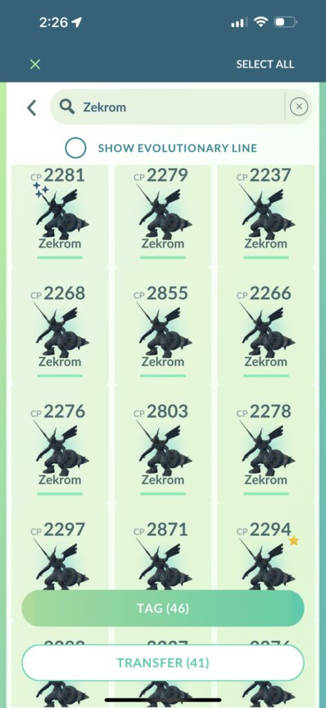 How many raids did it take you for shiny Zekrom?