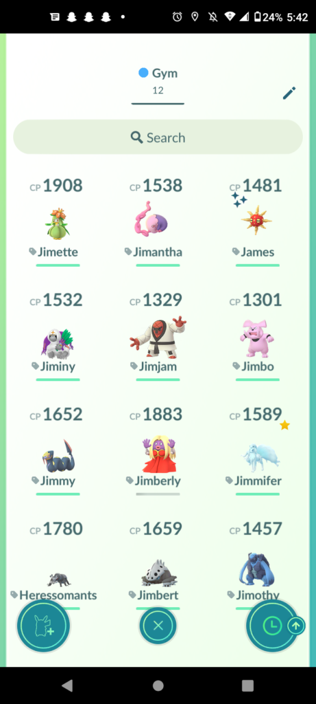 I name all my gym Pokemon some version of Jim and then found out other people can't see what I name them