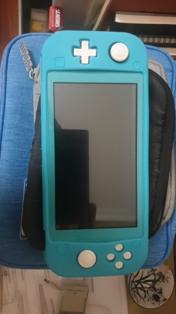 My boyfriend keeps insisting that this Switch is Blue. For me it is green. Who's right? Blue or Green?