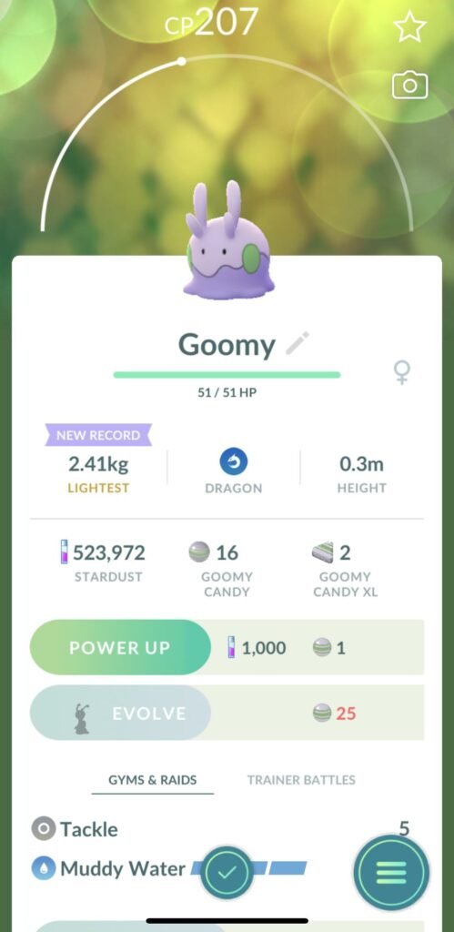 How is this little guy a dragon type?!