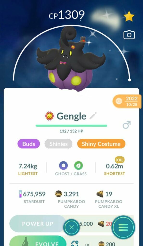 I find it quite funny that my xxl pumkaboo is the lightest and shortest of its kind while the xs one is the fattest and biggest of its kind.