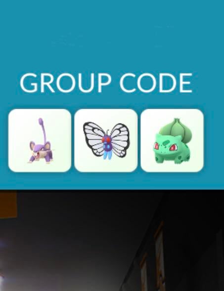 What’s the purpose of the ‘Group Code’ for raid’s?