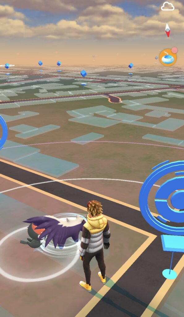 This Pikipek did not know what it was getting in for (no pun intended)