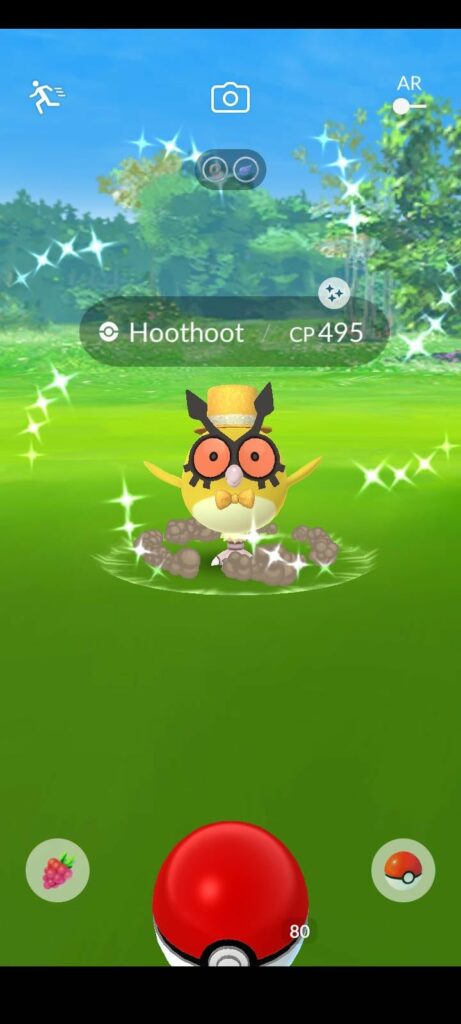Yesss! Gold New Years Bird ✨️HootHoot