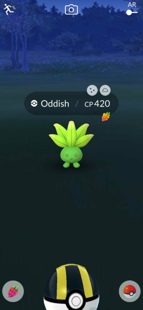 Tonight’s find: Blaze it edition