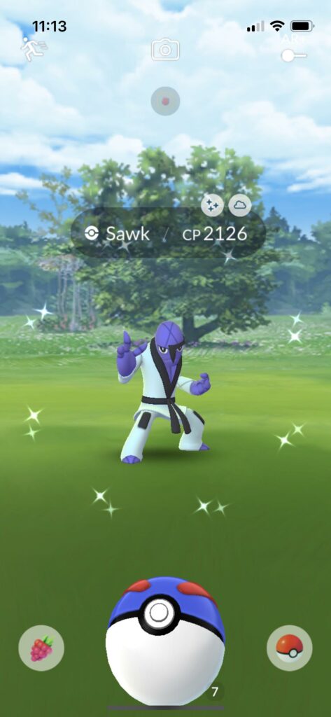 I had no idea that he can be shiny!