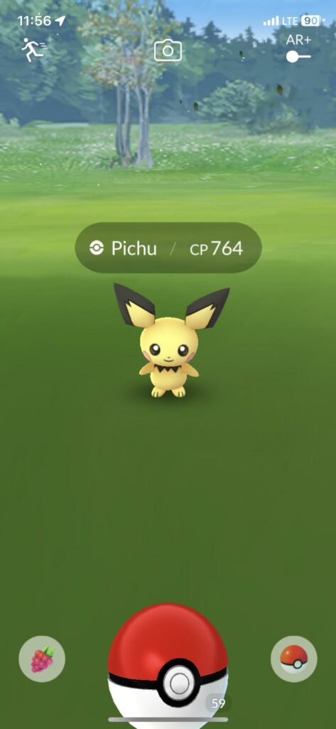 Wild pichu? Aren’t they egg only?