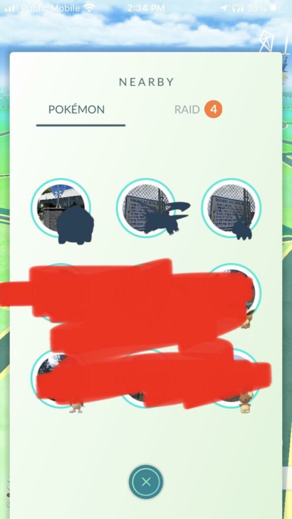 is that last one there a tepig? i need it for the evolution