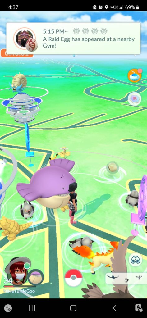 Let's play a fun game called "Spot the Zorua"
