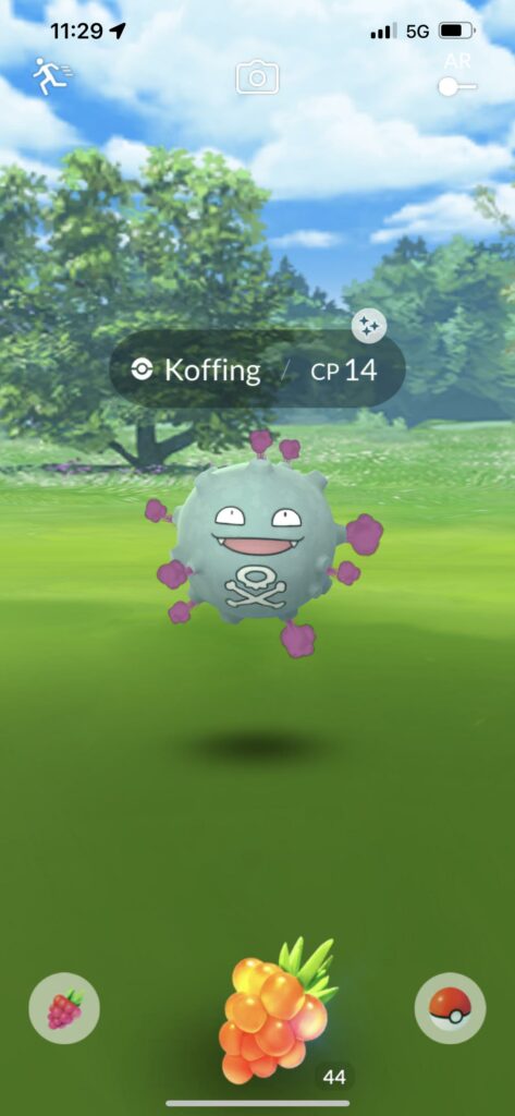 I take no chances with shinies