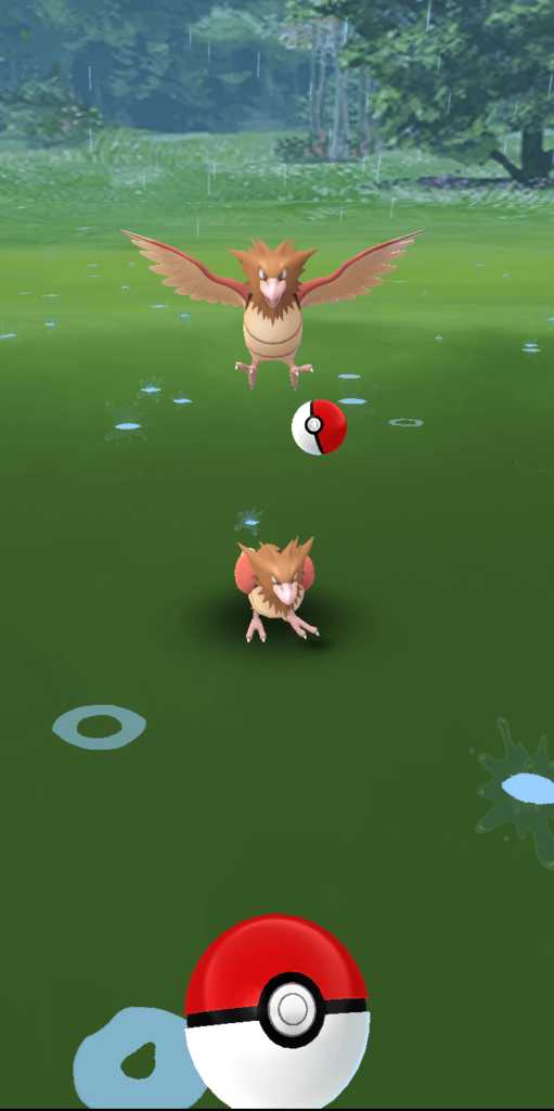 What the heck happened here?