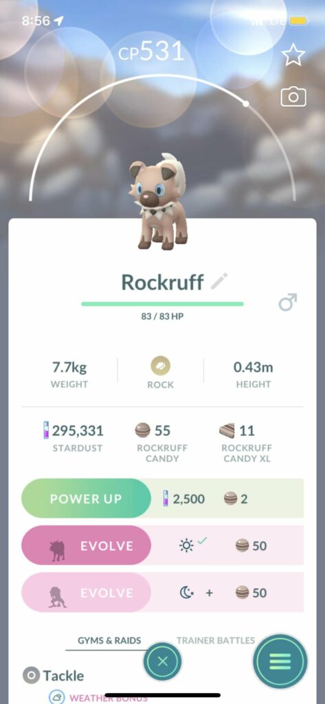 Day Or Night Evolve on the RockRuff? Also, what’s the best thing to do with the shiny eevee?