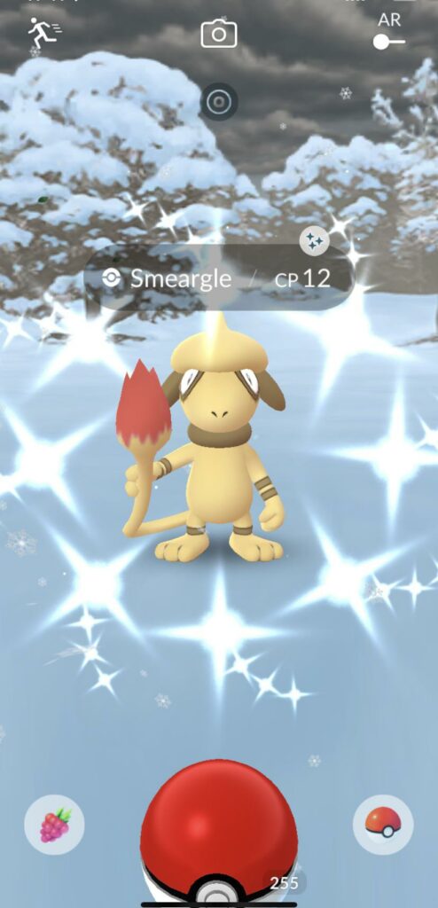 Shiny Smeargle!!!