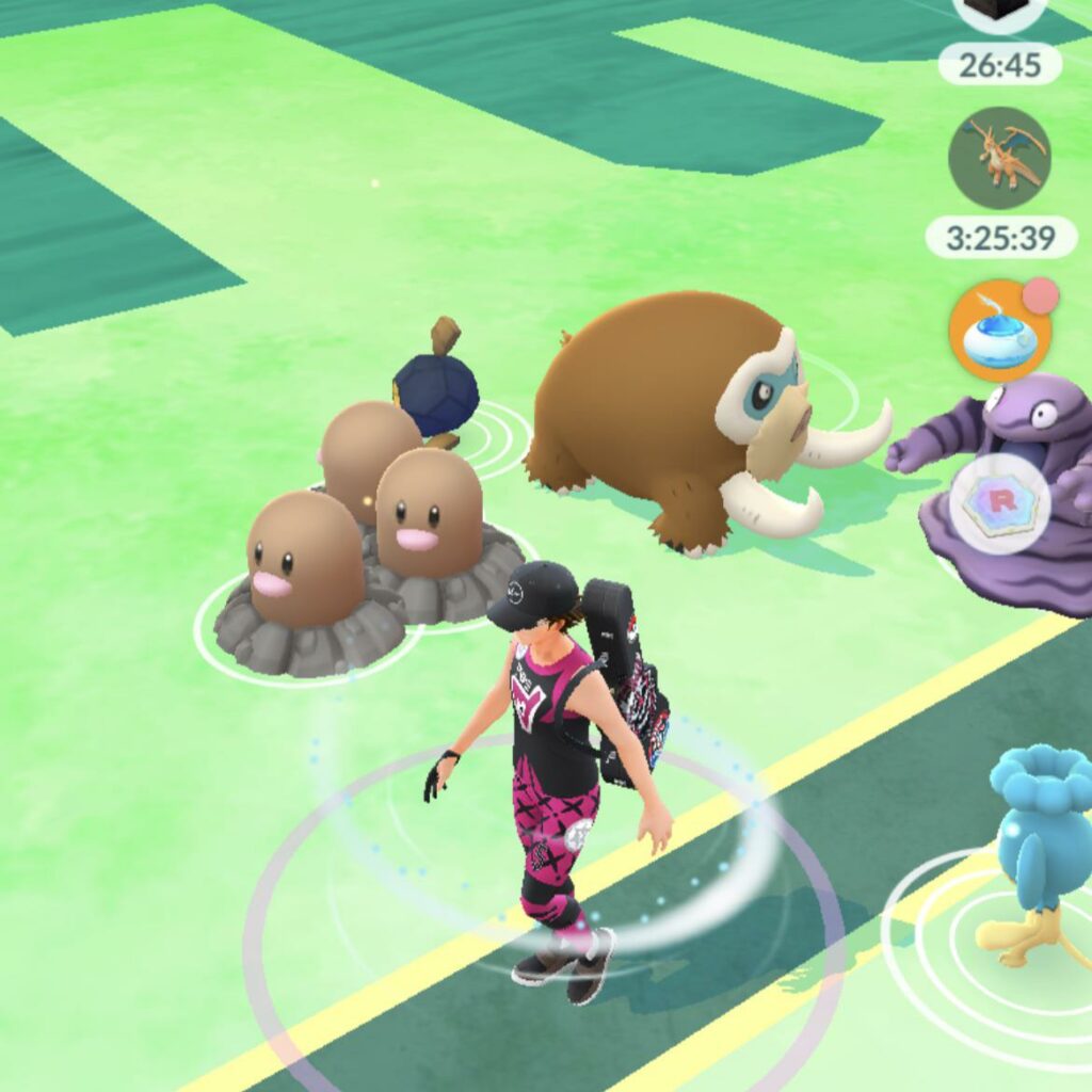 When you order a Dugtrio from wish dot com and have to put it together yourself…