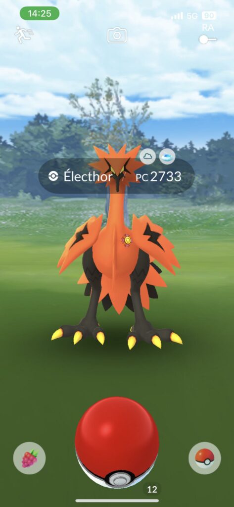 Nice try Zorua, but that best buddy ribbon gave you away