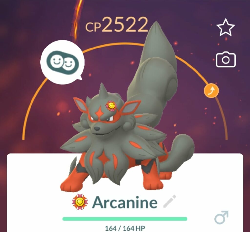 Why is the badge on his head?