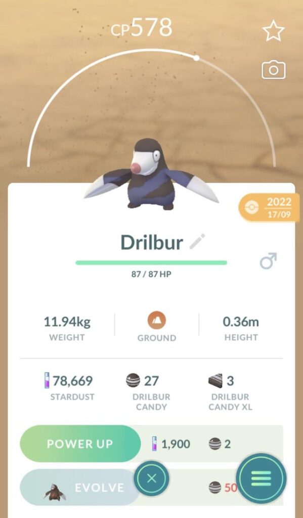Average sized Drilbur compared to other sizes (XXL & XXS)