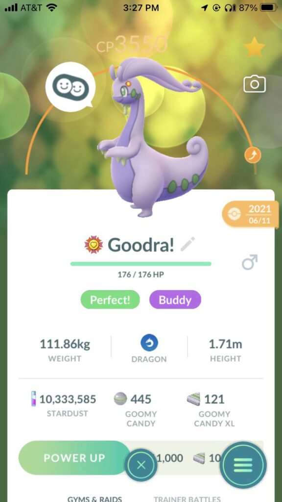 This is an odd best buddy medal placement on Goodra