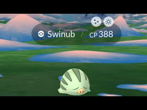 Swinub Community Day Classic - Shiny Hunt Live (Pokemon GO)