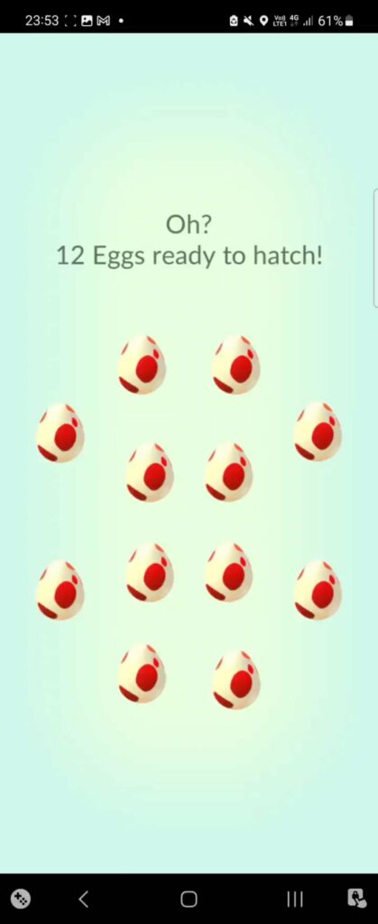 For those who were curious. Hatching 12, 12km eggs! Results!