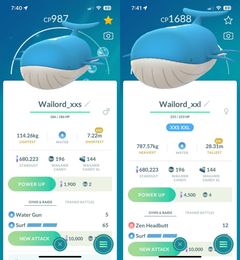 XXS vs XXL Wailord Blimp
