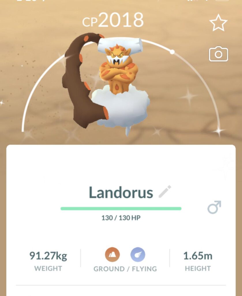 I said I was just going to do one raid for Landorus but it ran away! This 2nd try made up for it! ✨
