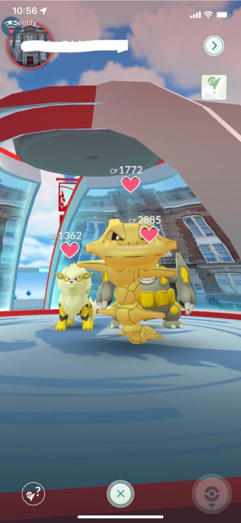 Coolest gym I’ve set up love the shinies matching. Ruined later though!