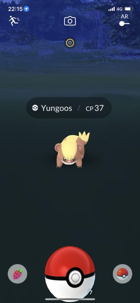 How long can pokemons stay up for?