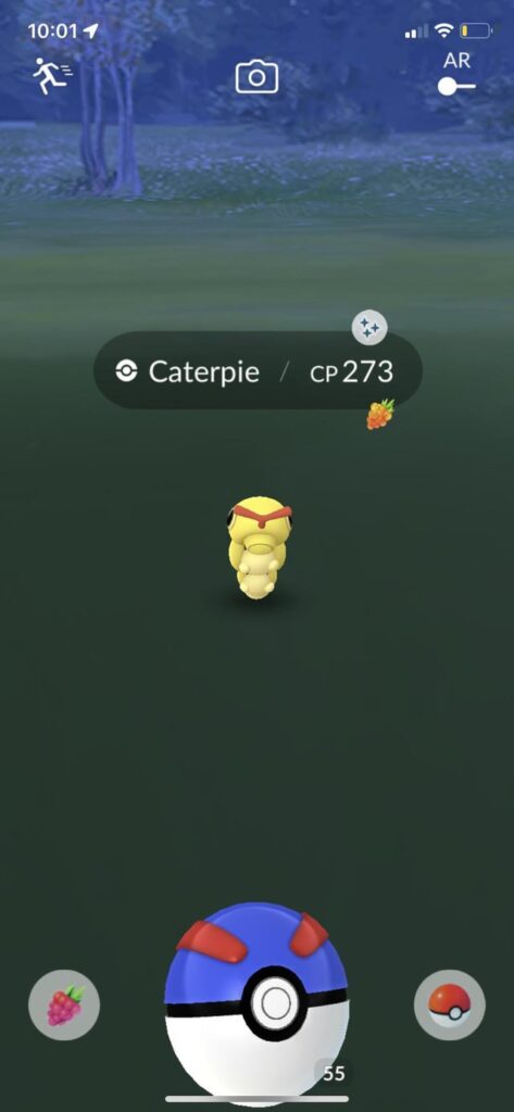 Finished lvl 40’s 200 Pokémon in a day challenge with this guy