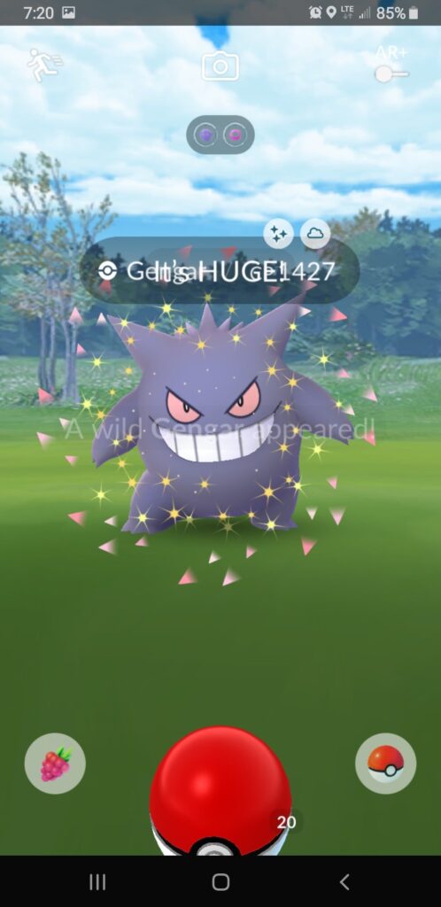 Wild Caught Huge Shiny Gengar