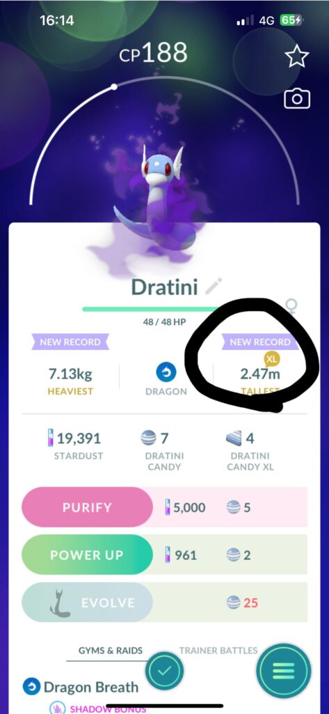 Monster Dratini