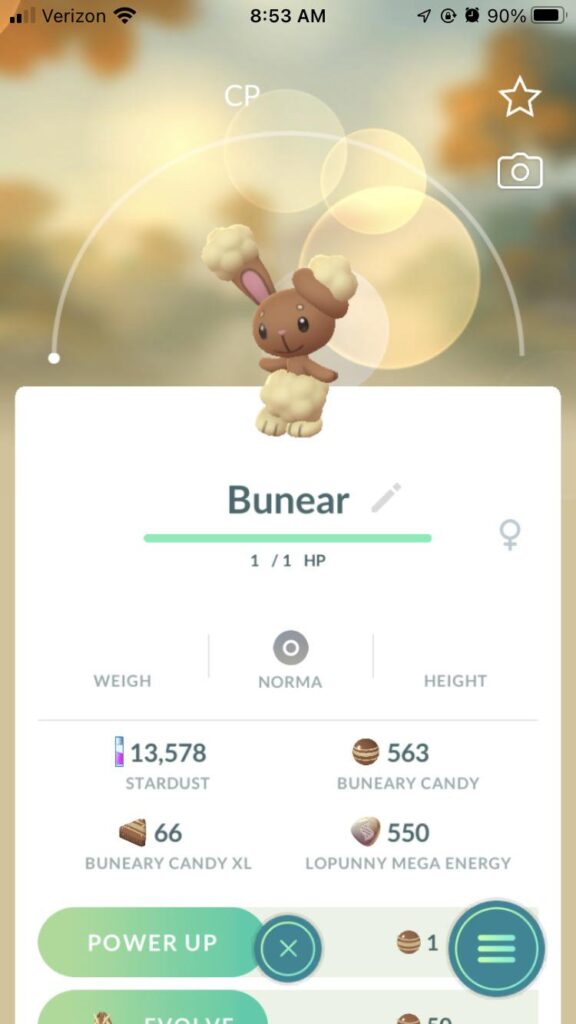 Behold, the rare and elusive Bunear.