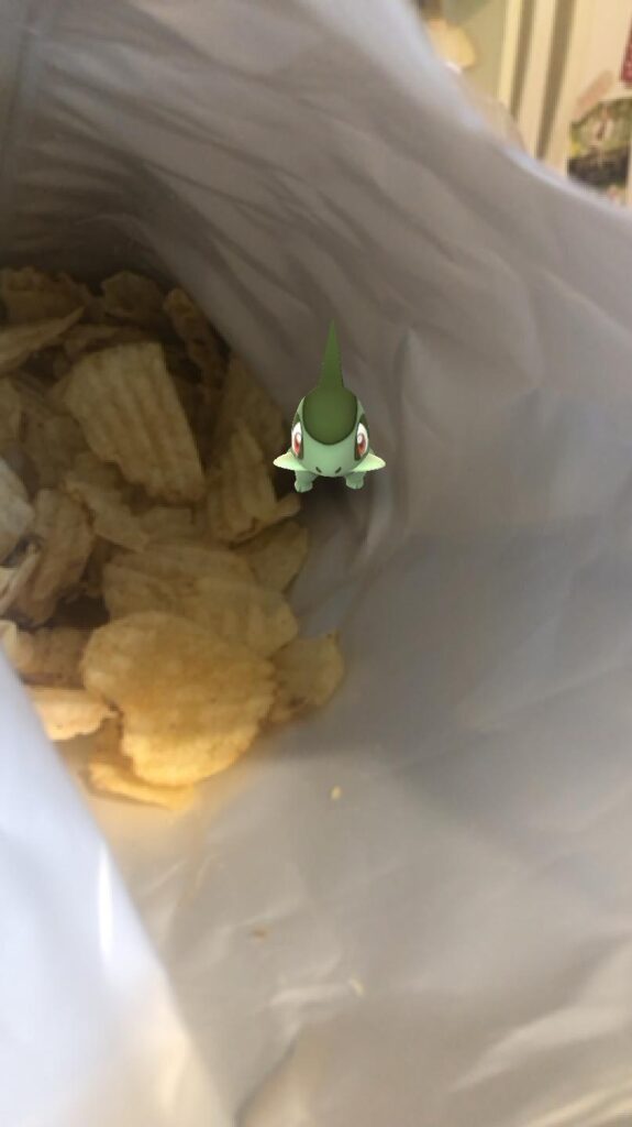 What was Axew doing in the bag of potato chips?