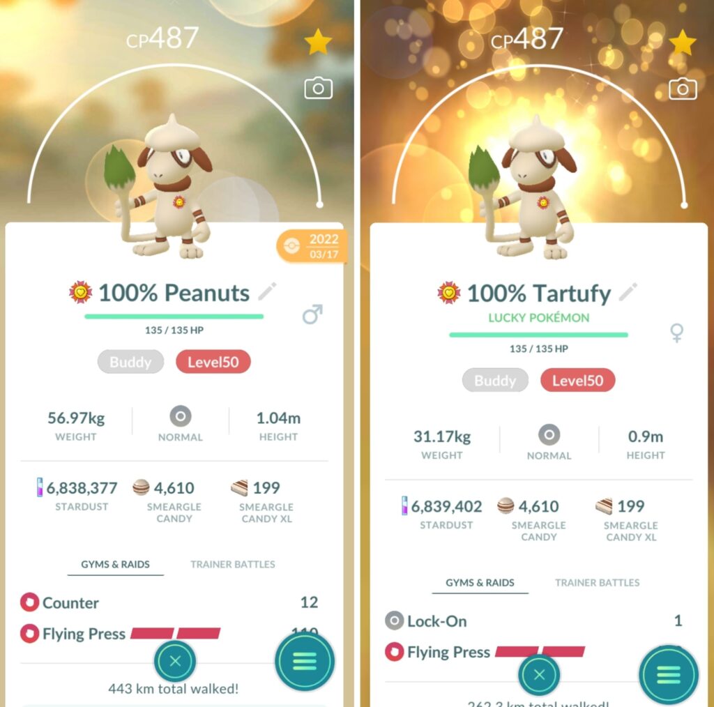 What moveset should I look for next? 👀