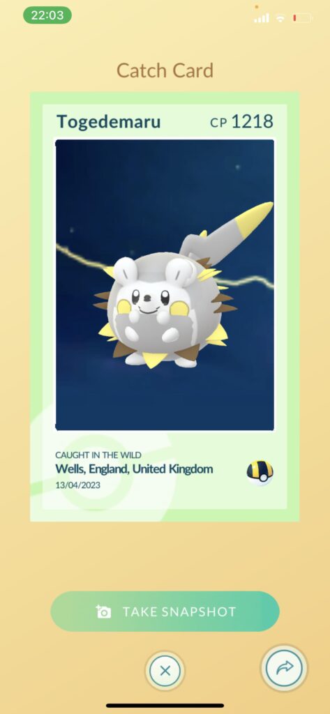 I think something happened to my Togedemaru