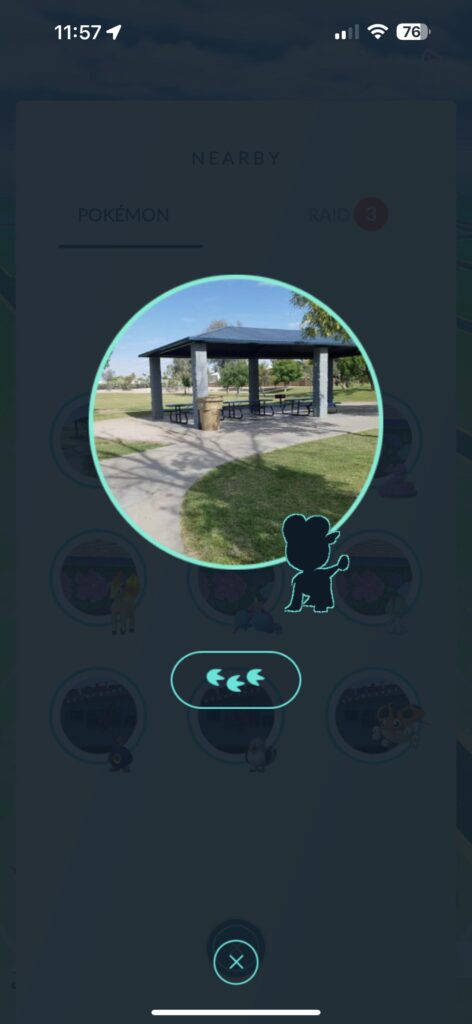 Anyone know who’s that Pokémon?