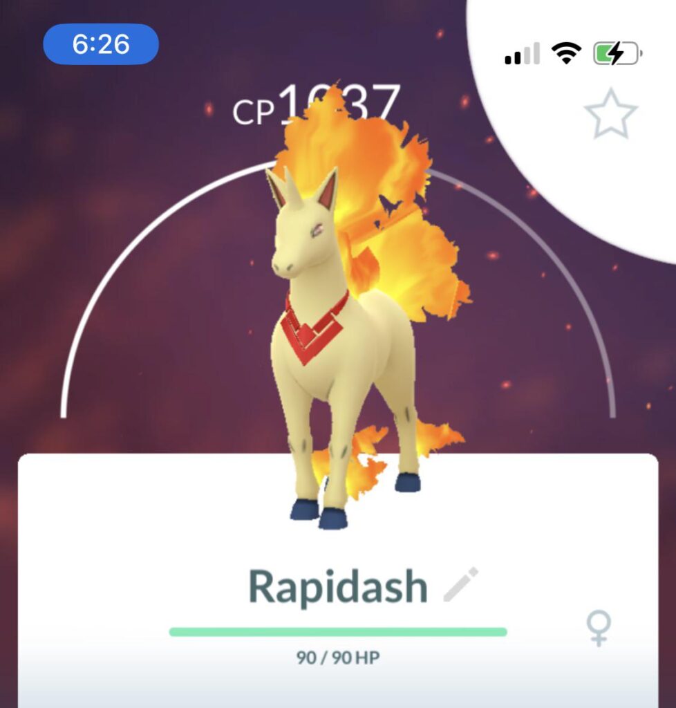 Pretty cool horsey