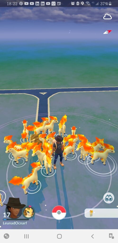 Herd of Ponytas